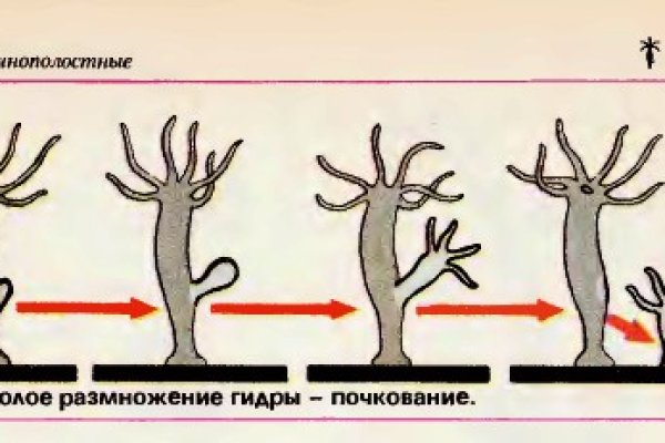 Новая blacksprut