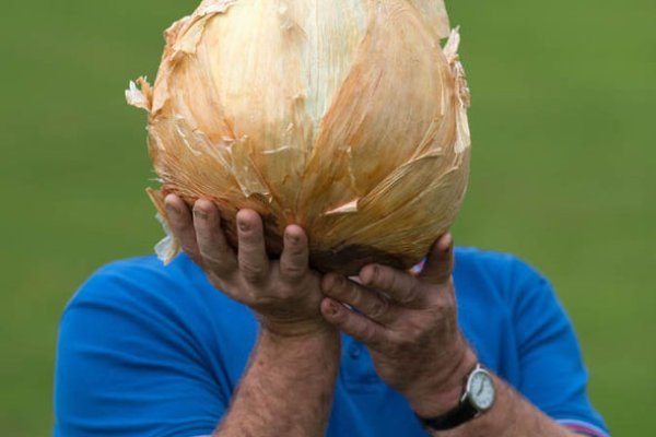 Блэк спрут новая ссылка