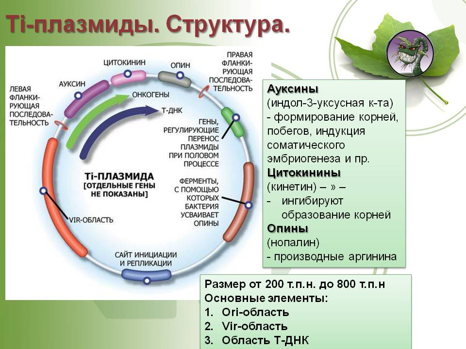 Почему не работает blacksprut сегодня